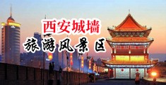 欧美肉棒中国陕西-西安城墙旅游风景区