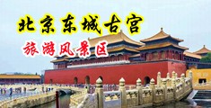 操逼黄色视频网站免费中国北京-东城古宫旅游风景区